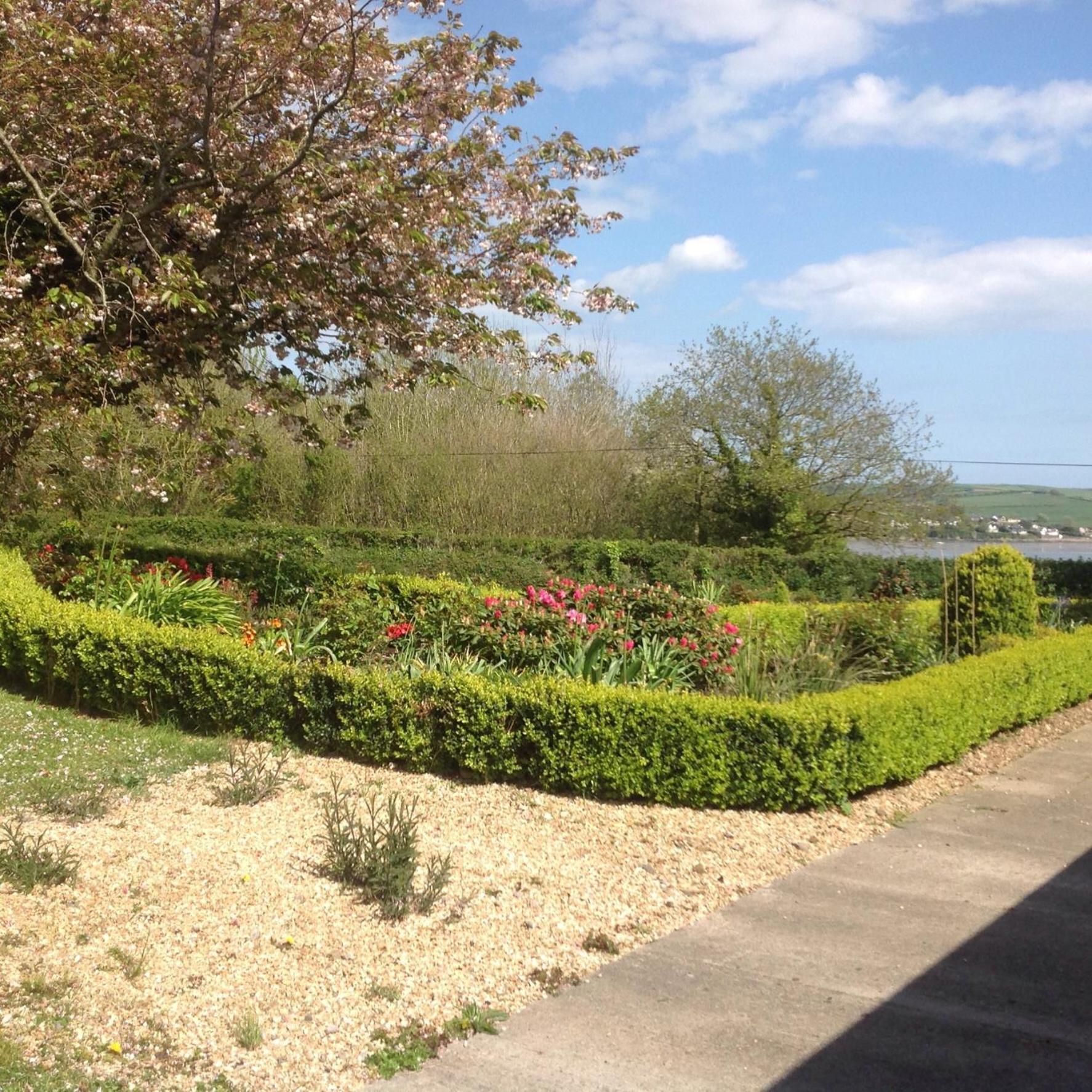 Estuary View Farm Bed & Breakfast Kingsbridge  Exterior photo